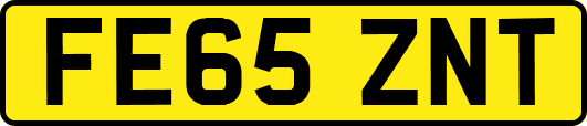 FE65ZNT