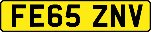 FE65ZNV