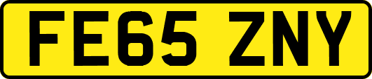 FE65ZNY