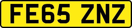 FE65ZNZ