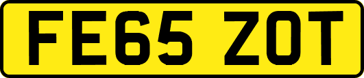 FE65ZOT