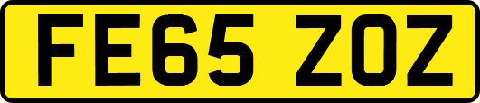 FE65ZOZ