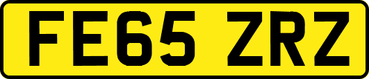 FE65ZRZ