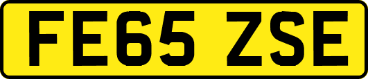 FE65ZSE