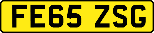 FE65ZSG