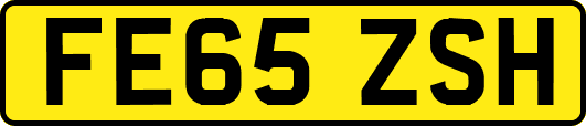 FE65ZSH