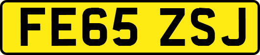 FE65ZSJ