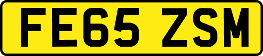 FE65ZSM
