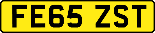 FE65ZST