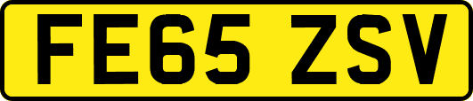 FE65ZSV