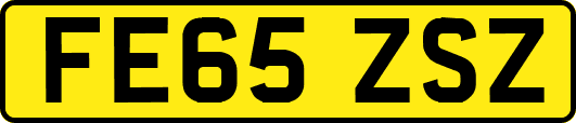 FE65ZSZ
