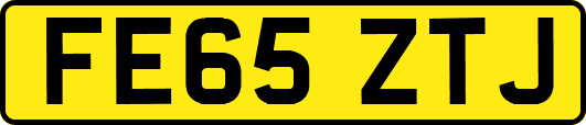 FE65ZTJ