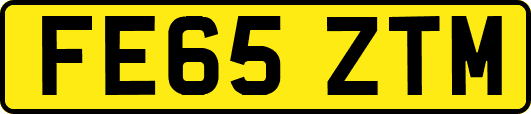 FE65ZTM