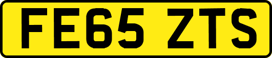 FE65ZTS