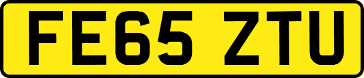 FE65ZTU