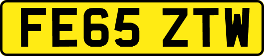 FE65ZTW