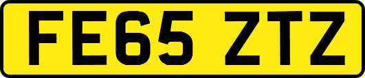 FE65ZTZ