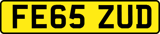 FE65ZUD