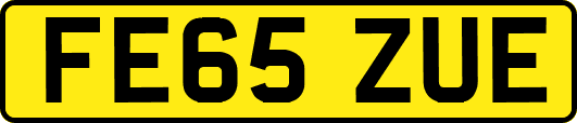 FE65ZUE