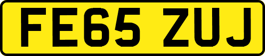 FE65ZUJ
