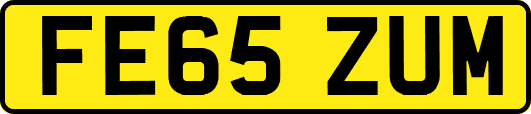 FE65ZUM