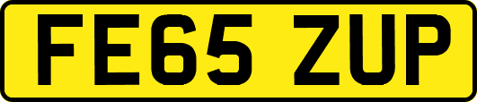 FE65ZUP