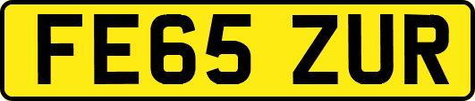 FE65ZUR