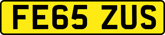 FE65ZUS