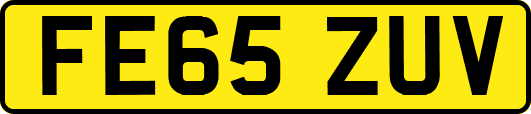FE65ZUV