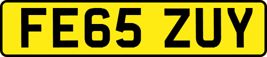 FE65ZUY