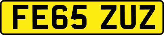 FE65ZUZ