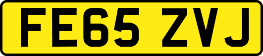 FE65ZVJ