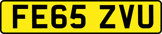 FE65ZVU