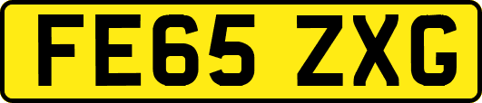 FE65ZXG