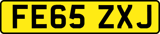 FE65ZXJ