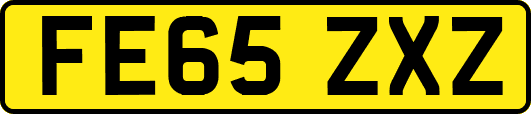 FE65ZXZ