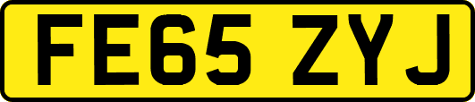 FE65ZYJ