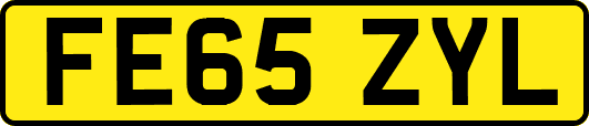 FE65ZYL