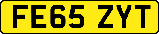 FE65ZYT
