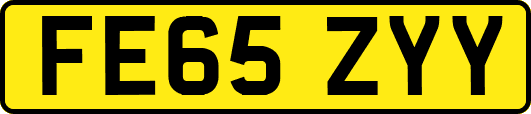 FE65ZYY