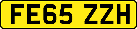FE65ZZH