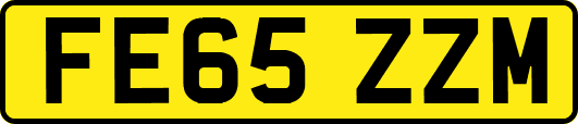 FE65ZZM