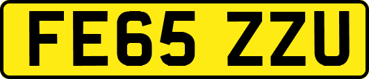 FE65ZZU