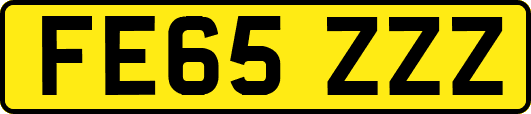 FE65ZZZ