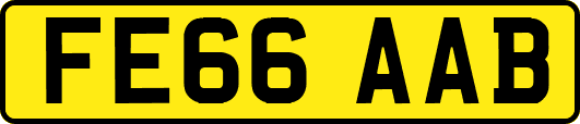 FE66AAB