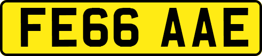 FE66AAE