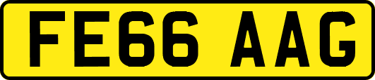 FE66AAG