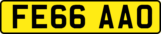 FE66AAO