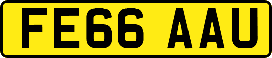 FE66AAU