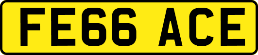 FE66ACE